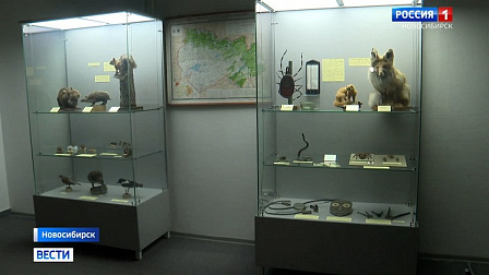 В Новосибирске открылась выставка о клещевом энцефалите