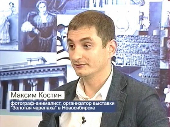 "Золотая черепаха" в Новосибирске. Уникальная фотовыставка дикой природы