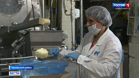 ВЕСТИ Новосибирск