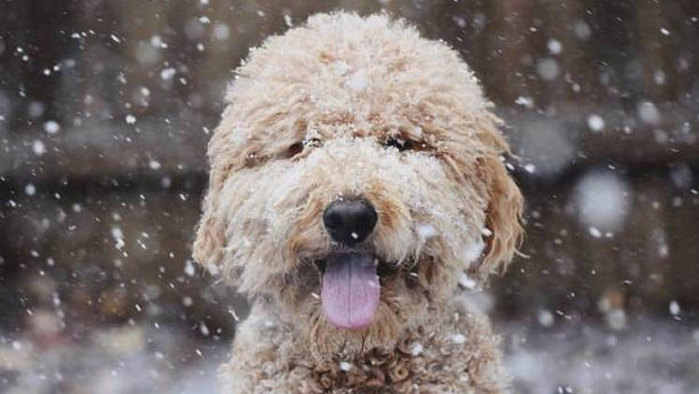 В Новосибирской области похолодает до -11 °С в выходные 18 и 19 октября