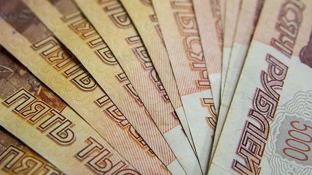 Новосибирец задолжал за аренду муниципальной земли больше 700 тысяч рублей
