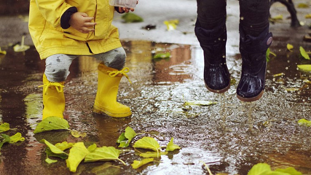 С 23 сентября в Новосибирскую область придёт тёплая погода с дождями