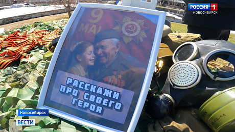 ВЕСТИ Новосибирск