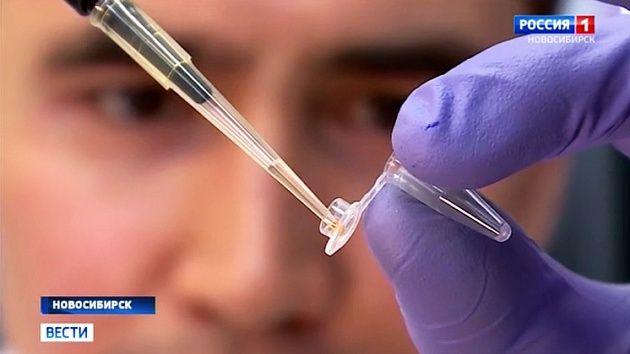 Новую тест-систему для выявления коронавируса разработали новосибирские учёные
