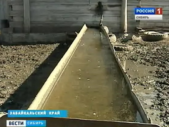 Забайкальское село Заречное осталось без питьевой воды