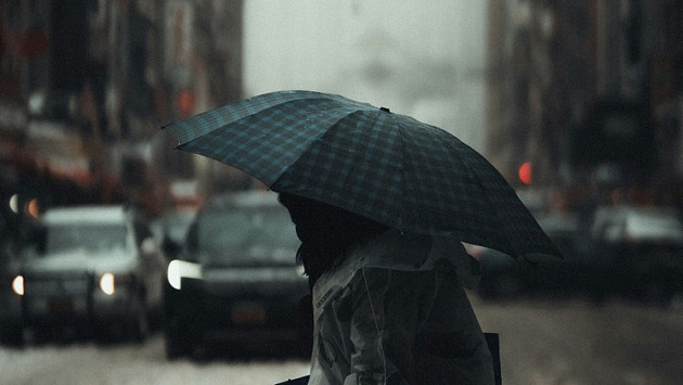 Мэр Новосибирска Максим Кудрявцев отменил общегородской субботник 4 октября