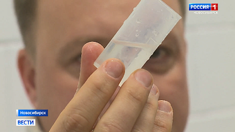 ВЕСТИ Новосибирск