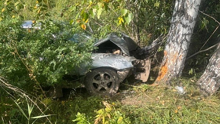 Водитель съехал в кювет и разбился о дерево на трассе под Новосибирском