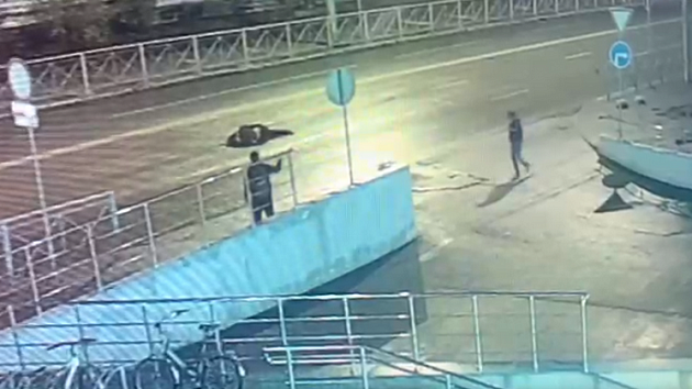 В Новосибирске попал на видео момент наезда на 20-летнего пешехода