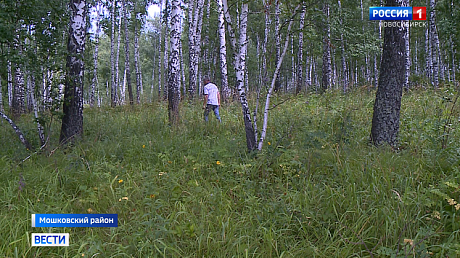 ВЕСТИ Новосибирск