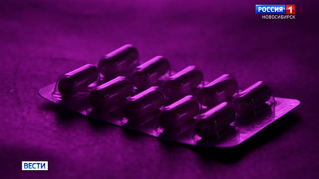 ВЕСТИ Новосибирск