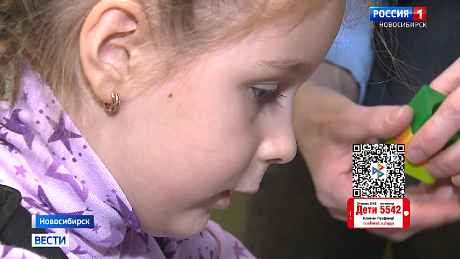 ВЕСТИ Новосибирск