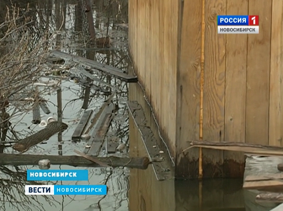 В Новосибирской области вода затопила дачи