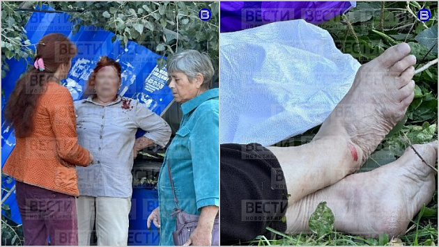 Следователи завели уголовное дело после падения тополя на людей в Новосибирске