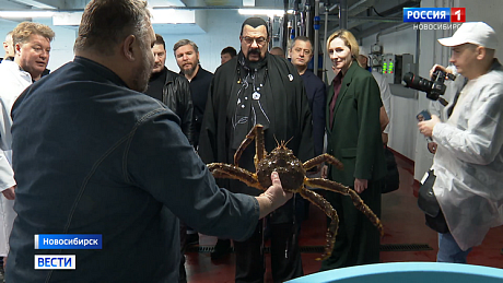 ВЕСТИ Новосибирск