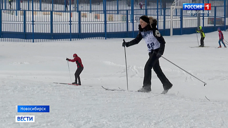 ВЕСТИ Новосибирск