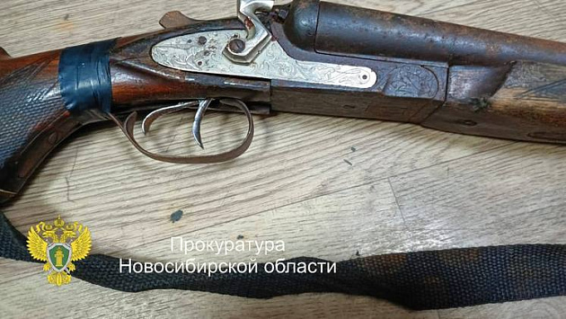 В Новосибирской области браконьер незаконно лишил жизни самку лося