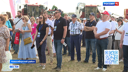 В Новосибирской области ввели новые меры поддержки производителей сельхозпродуктов