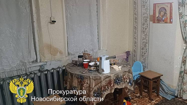 В Новосибирской области осудили мать, задавившую маленького сына своим телом