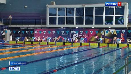 ВЕСТИ Новосибирск