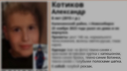 В Новосибирске завершили поиски пропавшего восьмилетнего мальчика