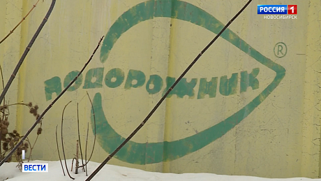 ВЕСТИ Новосибирск