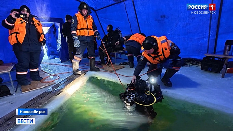 ВЕСТИ Новосибирск