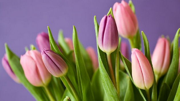 Новосибирцев предупредили о мошеннической схеме с букетом цветов от незнакомца