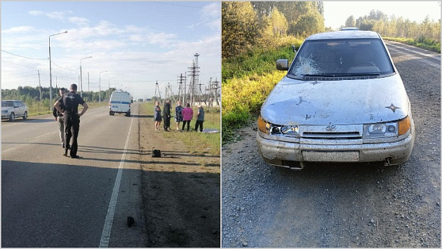 В Новосибирской области пьяный водитель задавил женщину на трассе и скрылся
