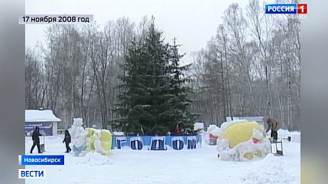 ВЕСТИ Новосибирск