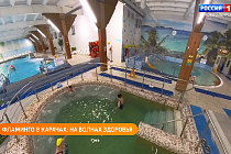 Аквапарк «Фламинго» работает на курорте «Озеро Карачи» в Новосибирской области
