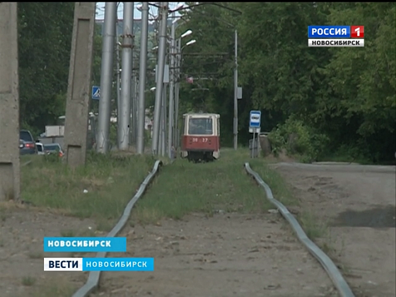 Золотая горка новосибирск фото