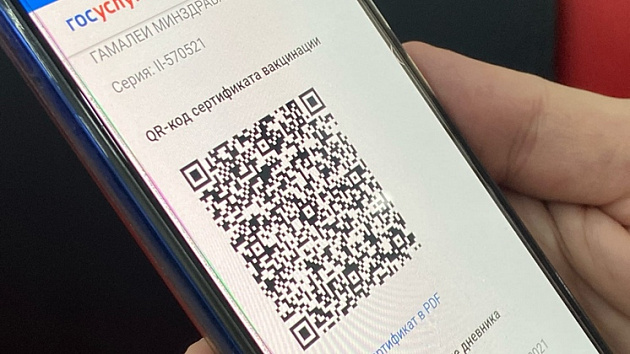 Из-за отсутствия QR-кодов 125 новосибирцам было отказано в обслуживании