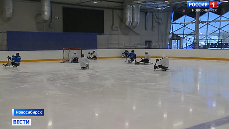 ВЕСТИ Новосибирск