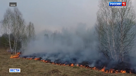 ВЕСТИ Новосибирск