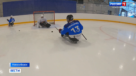 ВЕСТИ Новосибирск