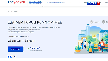 В Новосибирской области завершается голосование за благоустройство территорий