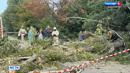 В Новосибирске пострадавшей на остановке женщине заплатят полмиллиона рублей