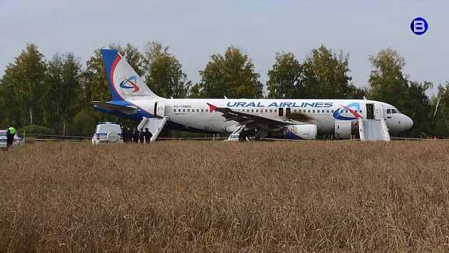 Пилот севшего в новосибирском поле самолёта попросил рассмотреть дело в Омске