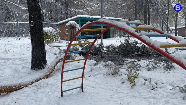 Сосна рухнула на шестилетнего ребёнка в детском саду в Новосибирске