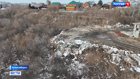 ВЕСТИ Новосибирск