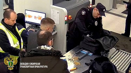 В Новосибирске приговорили вахтовика за попытку провоза золота в ручке чемодана
