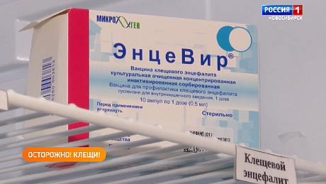 ВЕСТИ Новосибирск