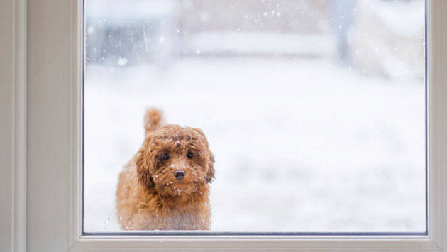 В Новосибирской области выпадет снег в первые выходные октября