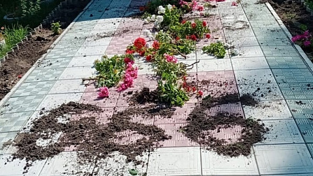 Дьявольскую метку оставили у входа в храм новосибирского села