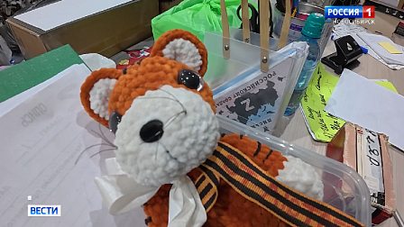 В Новосибирске ищут девочку Алису для передачи благодарности от бойцов СВО