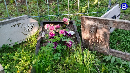 В деревне под Новосибирском вандалы снова разгромили местное кладбище