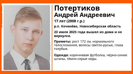 Под Новосибирском без вести пропал 17-летний мальчик в коричневой футболке