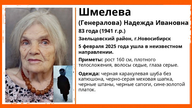 В Новосибирске без вести пропала 83-летняя бабушка в каракулевой шубе