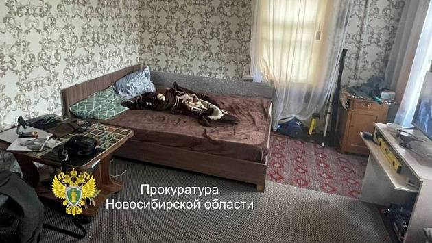 Новосибирец кинулся на собутыльника с ножом во время бурного застолья